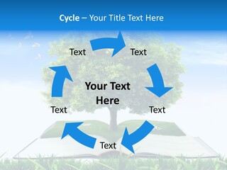 Interesting Fairy Tale Object PowerPoint Template