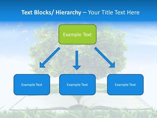 Interesting Fairy Tale Object PowerPoint Template