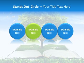 Interesting Fairy Tale Object PowerPoint Template