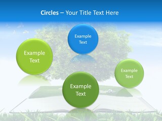Interesting Fairy Tale Object PowerPoint Template