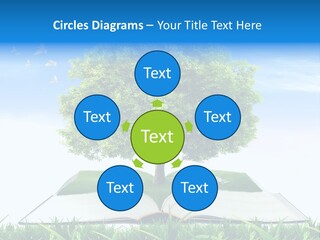 Interesting Fairy Tale Object PowerPoint Template