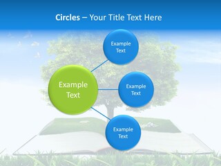 Interesting Fairy Tale Object PowerPoint Template