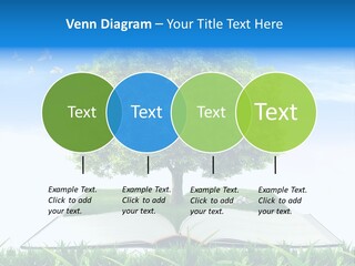 Interesting Fairy Tale Object PowerPoint Template