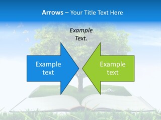 Interesting Fairy Tale Object PowerPoint Template