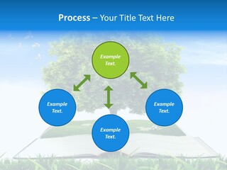 Interesting Fairy Tale Object PowerPoint Template
