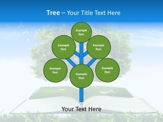 Interesting Fairy Tale Object PowerPoint Template
