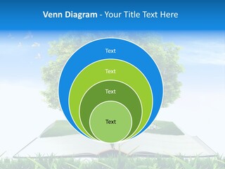 Interesting Fairy Tale Object PowerPoint Template