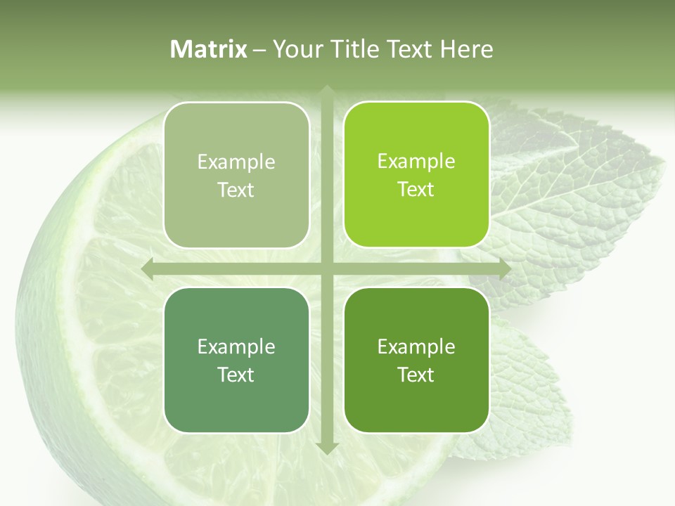 Fresh Tropical Macro PowerPoint Template