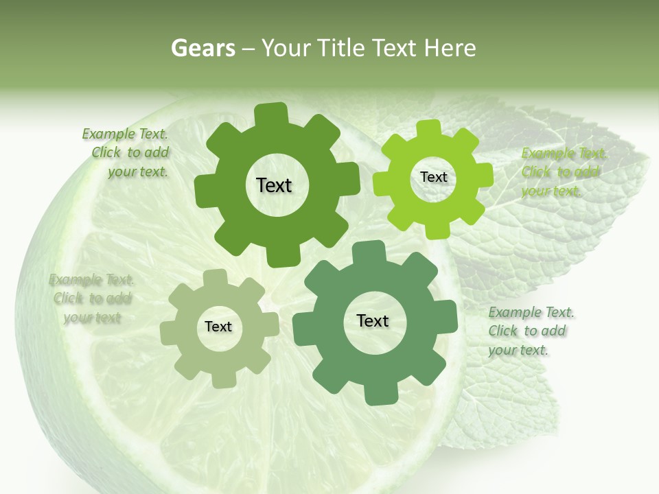 Fresh Tropical Macro PowerPoint Template