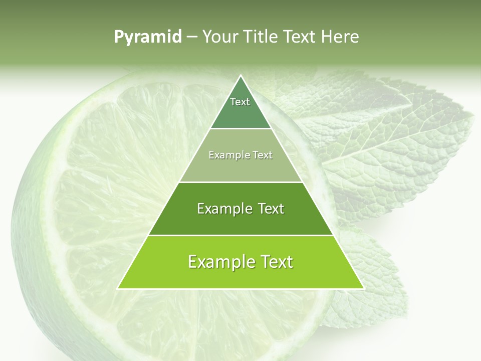 Fresh Tropical Macro PowerPoint Template