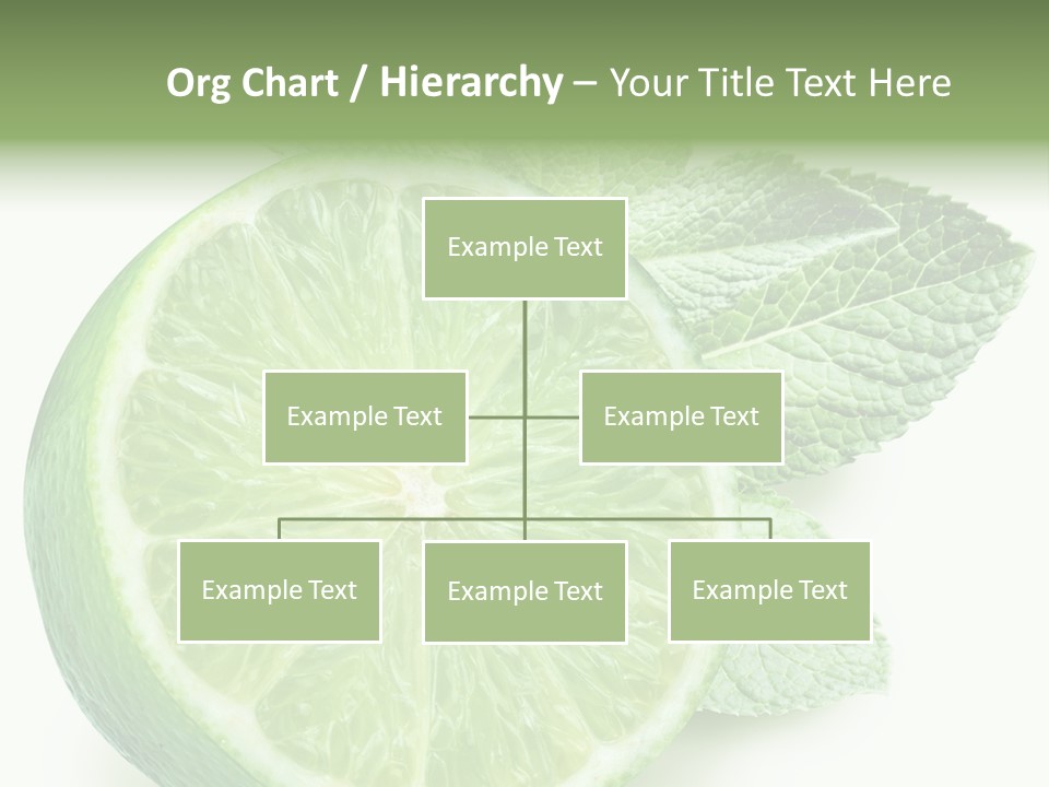 Fresh Tropical Macro PowerPoint Template