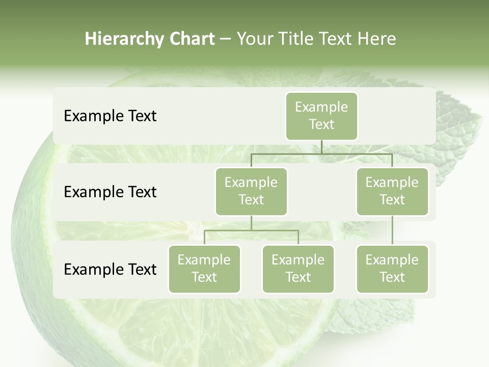 Fresh Tropical Macro PowerPoint Template