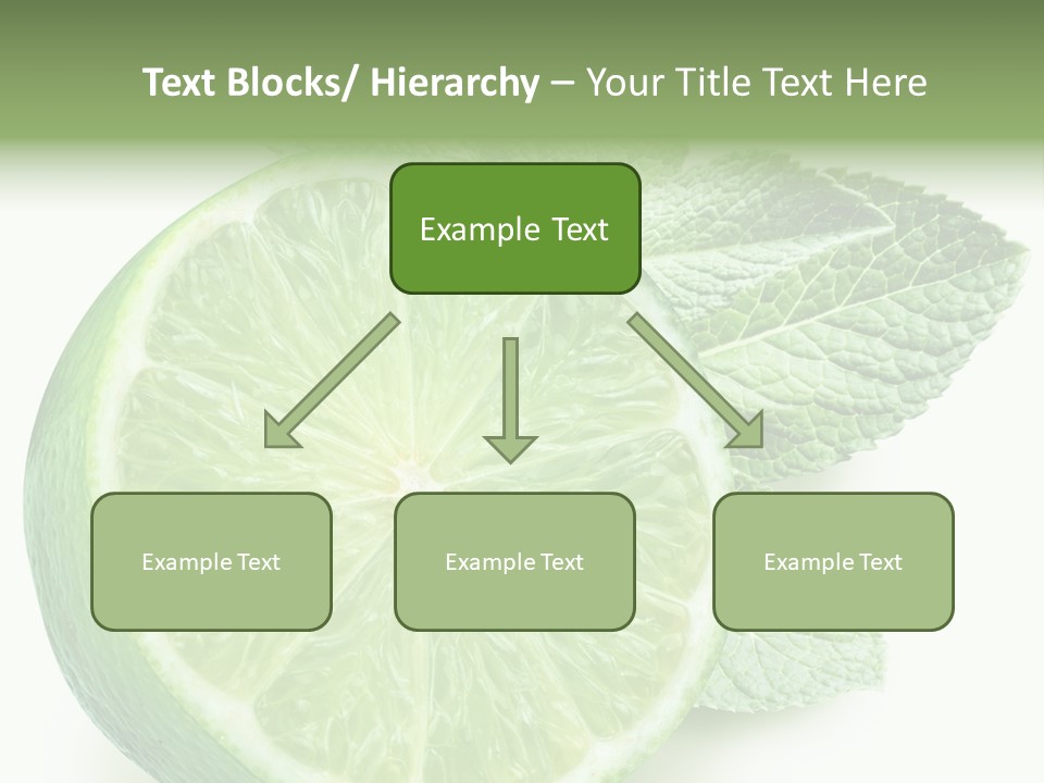 Fresh Tropical Macro PowerPoint Template