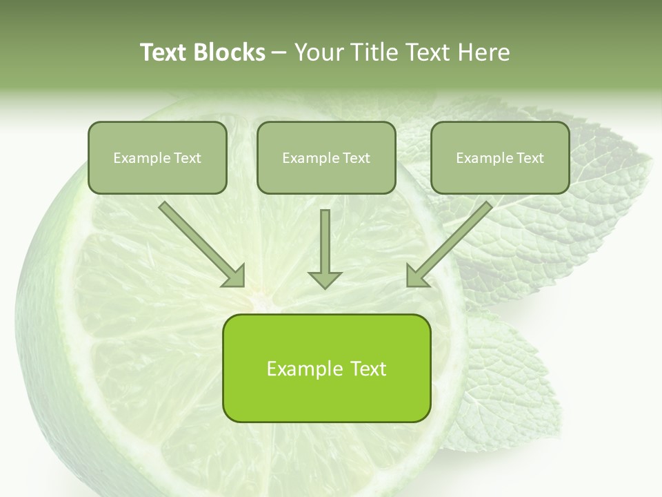 Fresh Tropical Macro PowerPoint Template