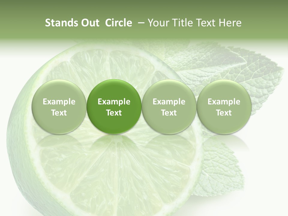 Fresh Tropical Macro PowerPoint Template