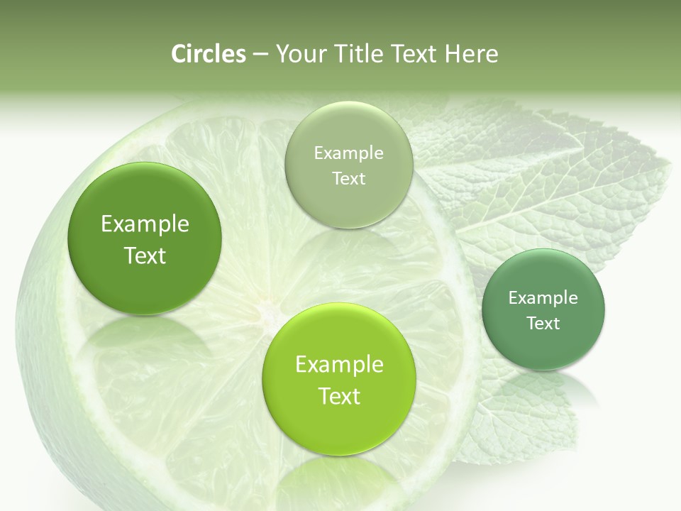 Fresh Tropical Macro PowerPoint Template