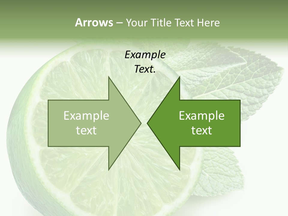 Fresh Tropical Macro PowerPoint Template