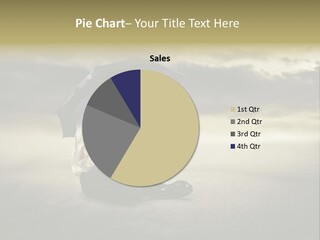 Desert Rain Career PowerPoint Template