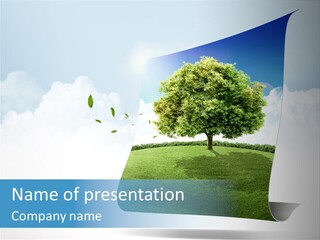 Street Paper Roll PowerPoint Template