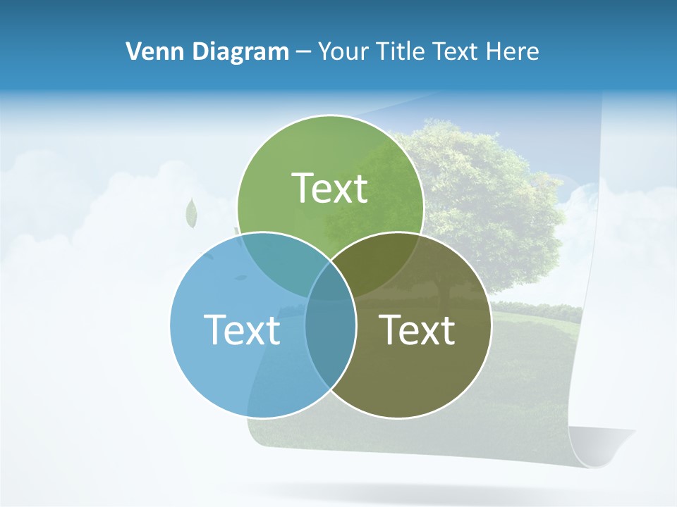 Street Paper Roll PowerPoint Template