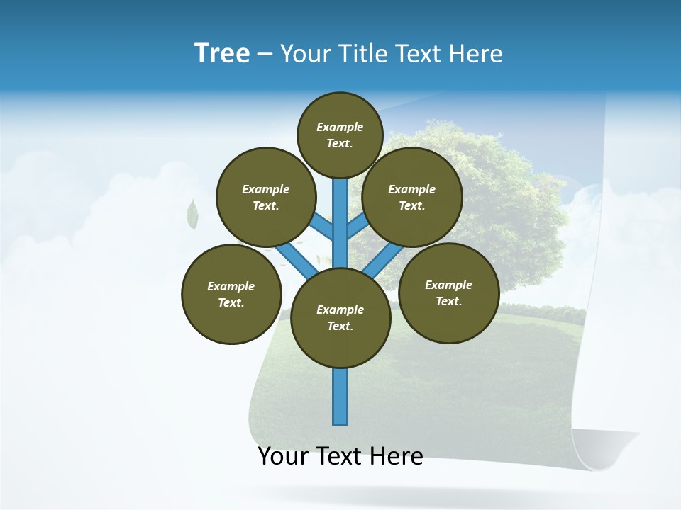 Street Paper Roll PowerPoint Template