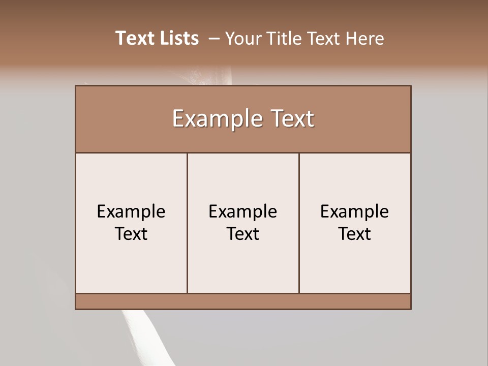 Cowgirl Eyes Beauty PowerPoint Template