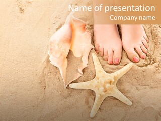 Body Summer Shell PowerPoint Template