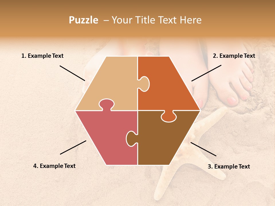 Body Summer Shell PowerPoint Template