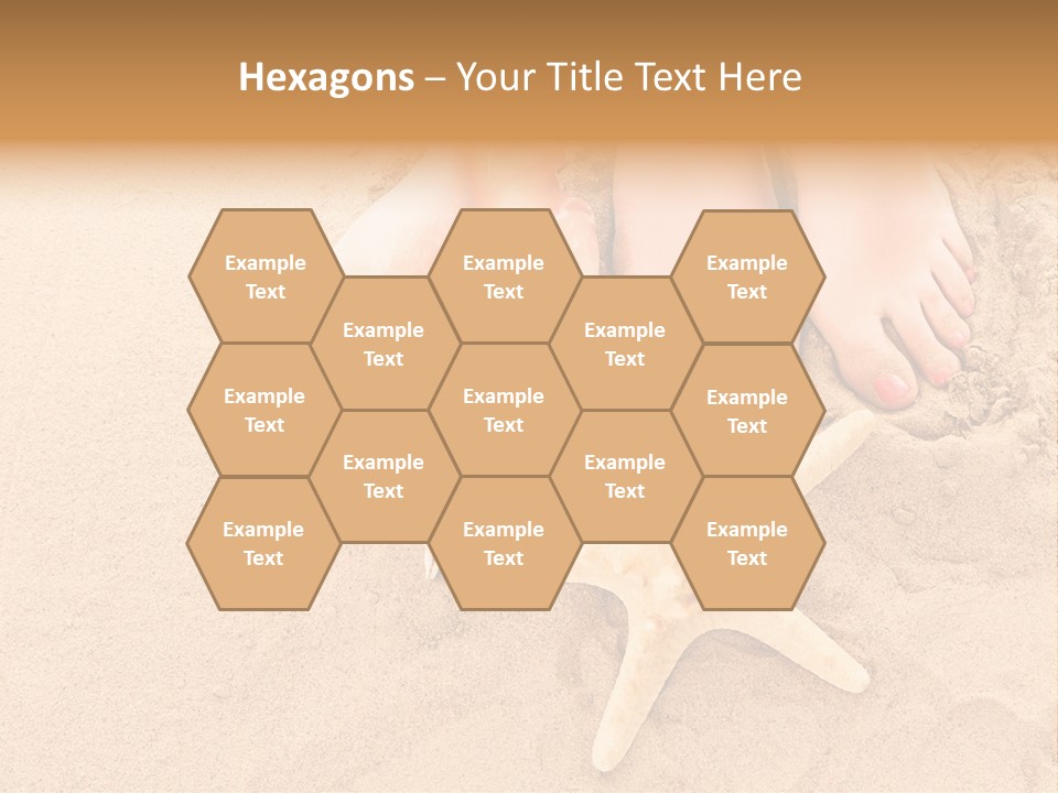 Body Summer Shell PowerPoint Template