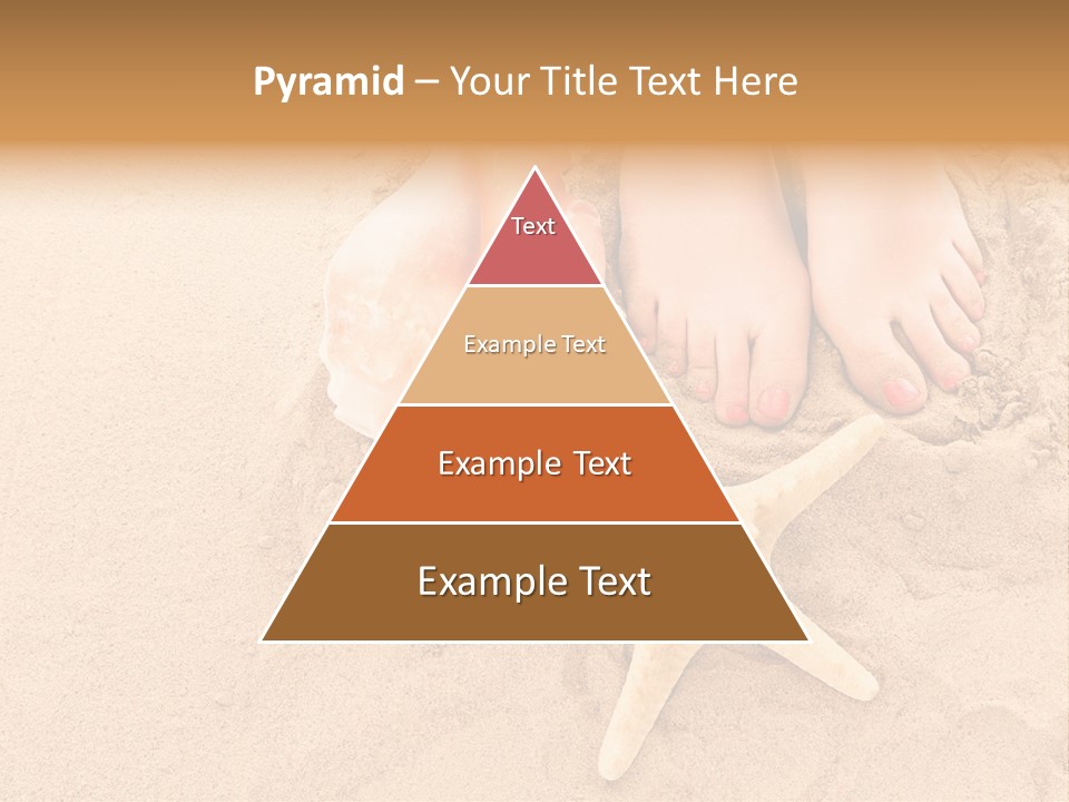 Body Summer Shell PowerPoint Template