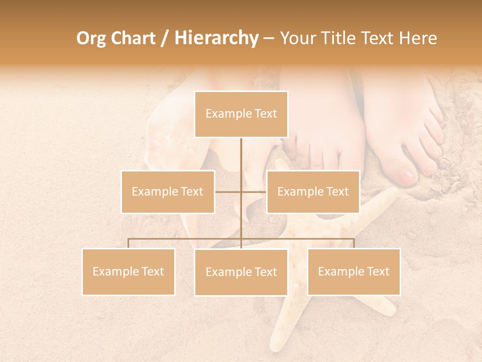 Body Summer Shell PowerPoint Template