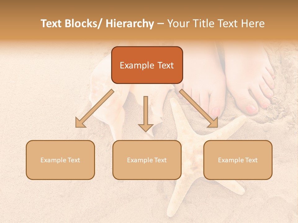 Body Summer Shell PowerPoint Template