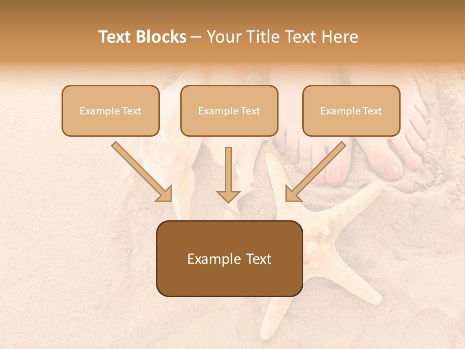 Body Summer Shell PowerPoint Template