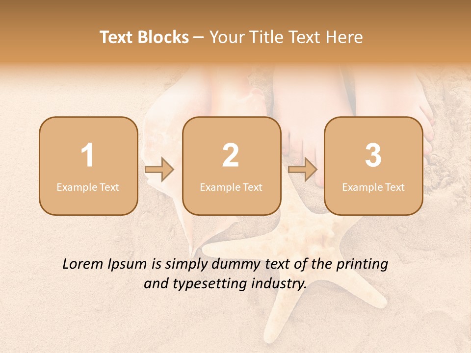 Body Summer Shell PowerPoint Template