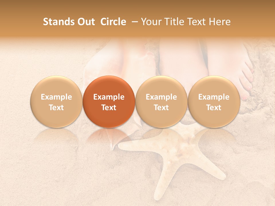 Body Summer Shell PowerPoint Template