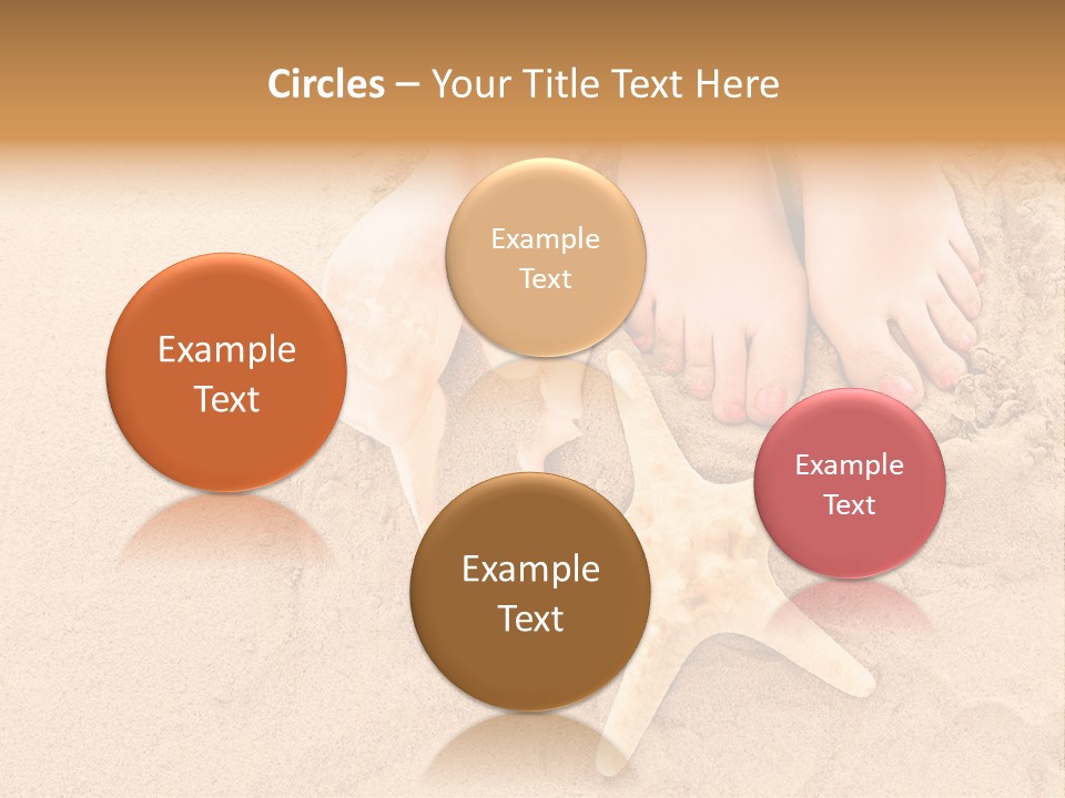 Body Summer Shell PowerPoint Template