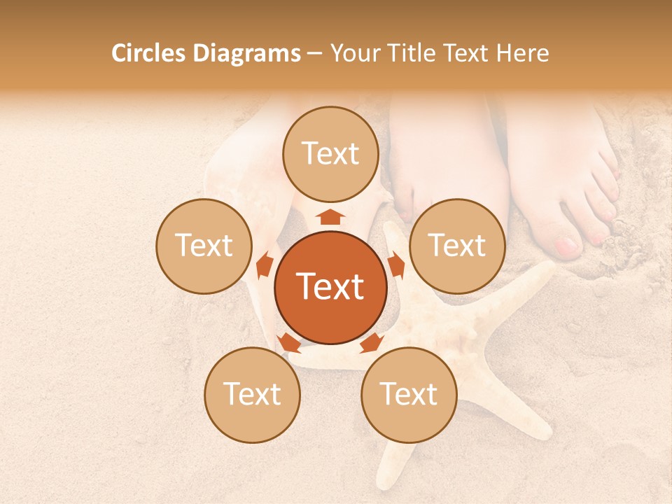 Body Summer Shell PowerPoint Template