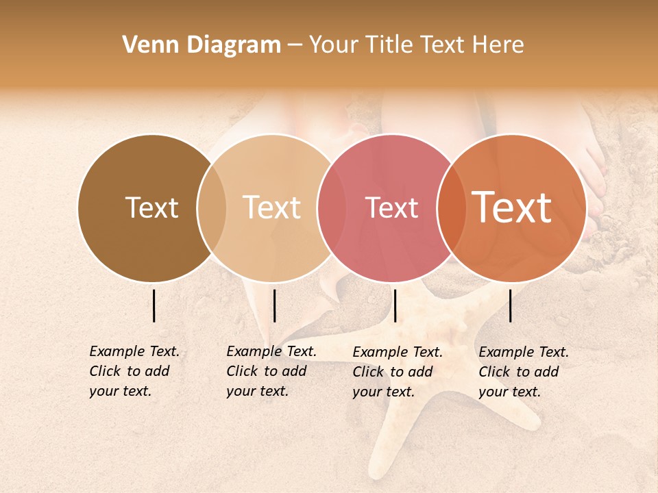 Body Summer Shell PowerPoint Template