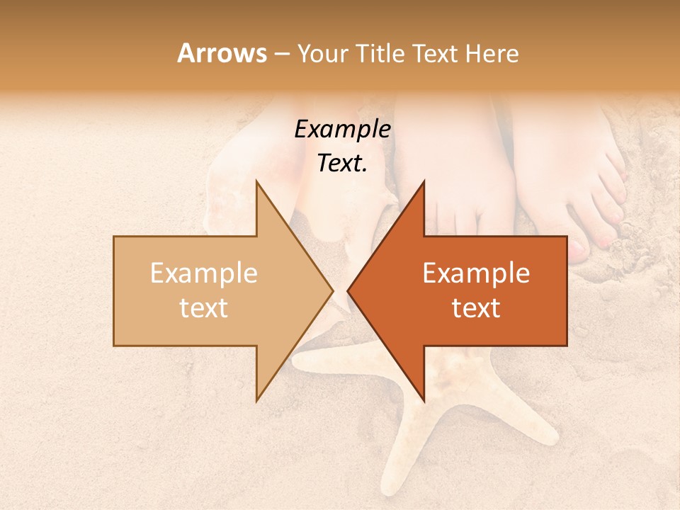 Body Summer Shell PowerPoint Template