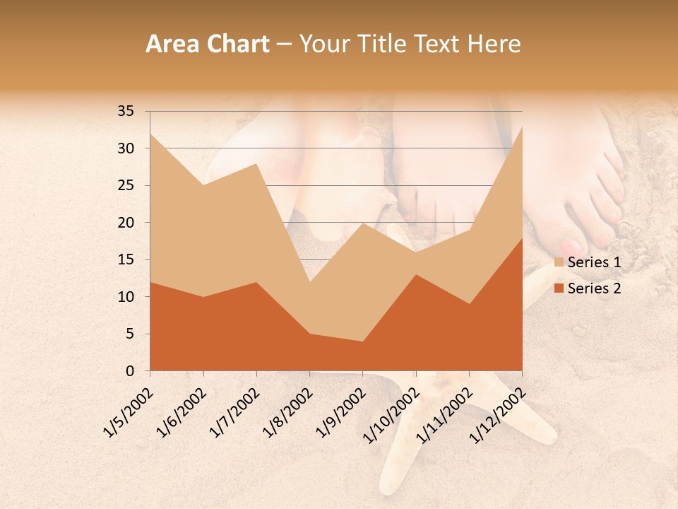 Body Summer Shell PowerPoint Template