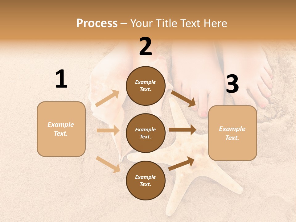 Body Summer Shell PowerPoint Template