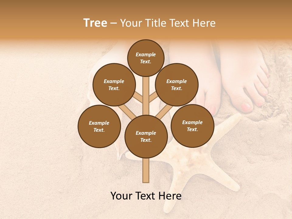 Body Summer Shell PowerPoint Template