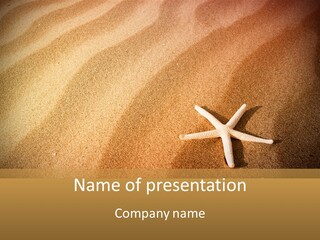 Vacation Coast Animal PowerPoint Template