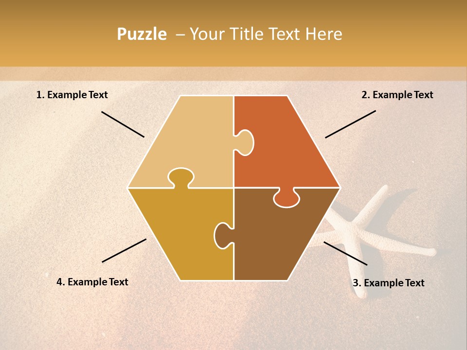 Vacation Coast Animal PowerPoint Template