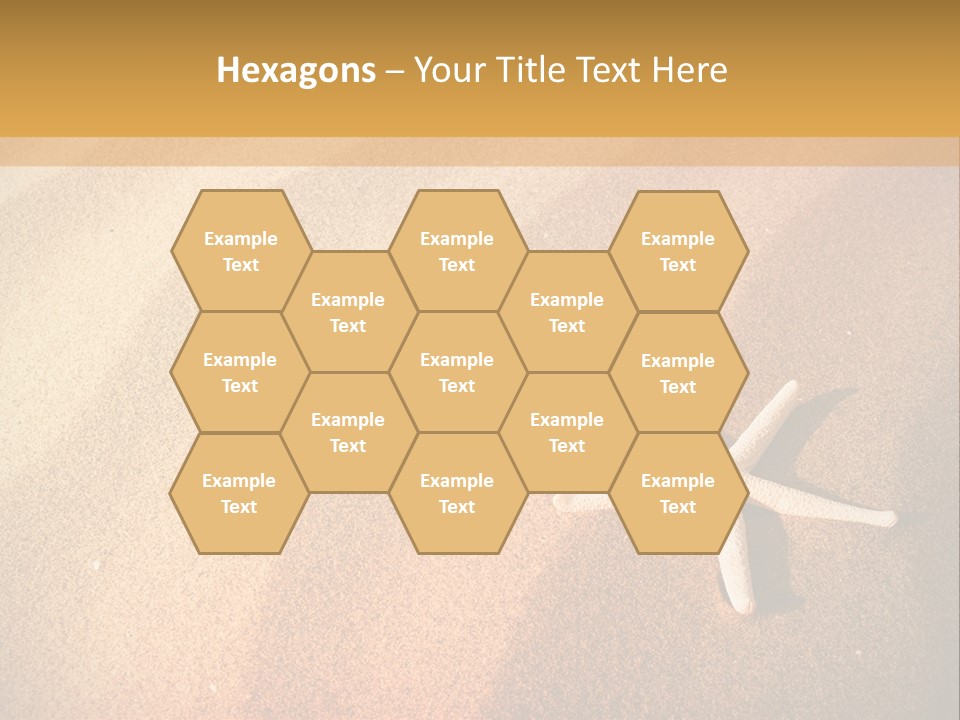 Vacation Coast Animal PowerPoint Template