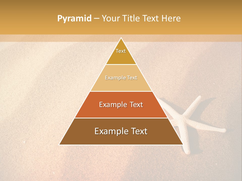 Vacation Coast Animal PowerPoint Template