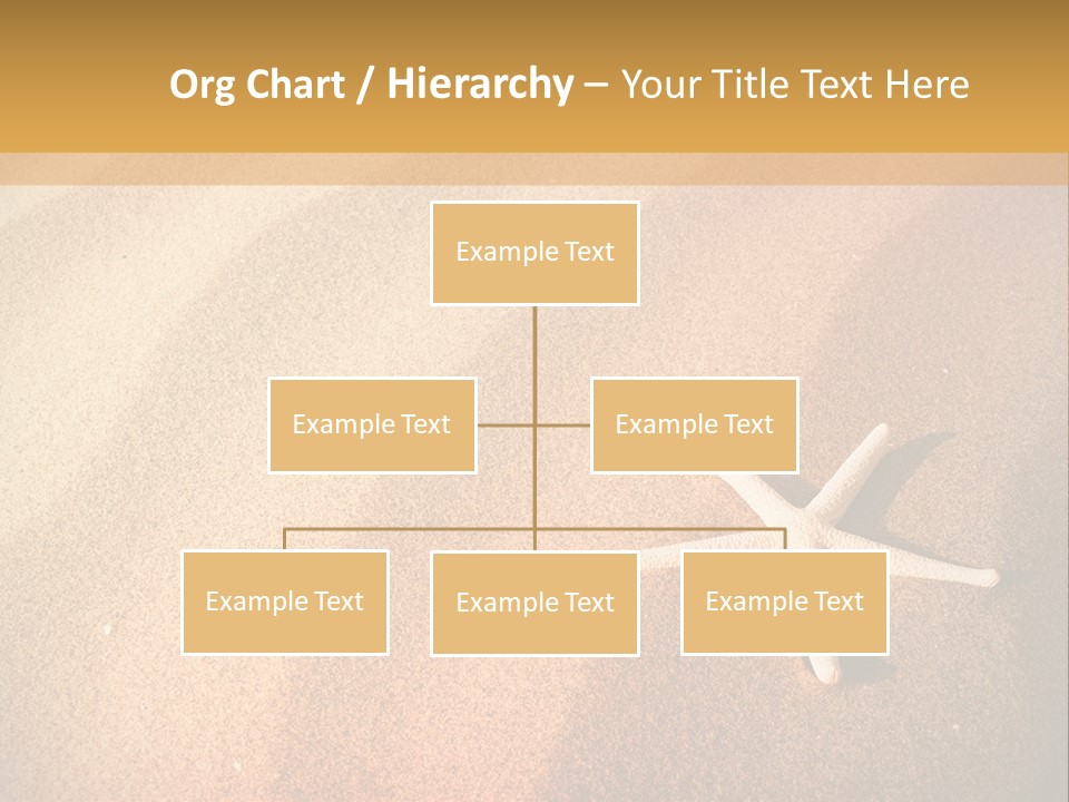 Vacation Coast Animal PowerPoint Template