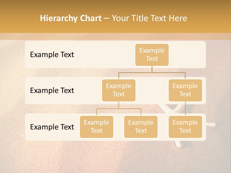 Vacation Coast Animal PowerPoint Template