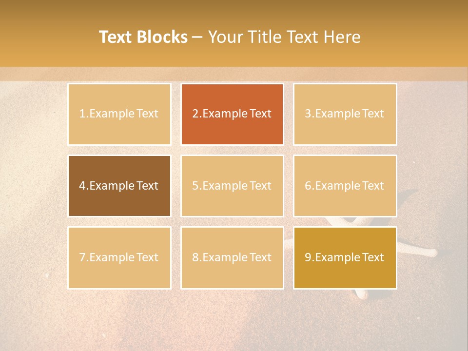 Vacation Coast Animal PowerPoint Template