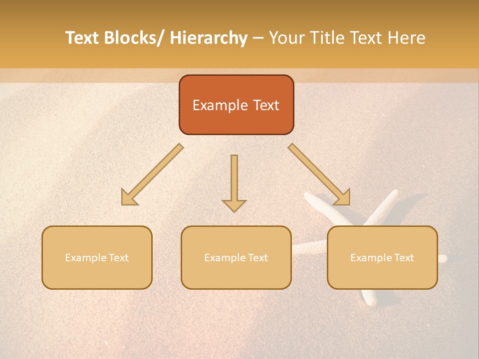 Vacation Coast Animal PowerPoint Template